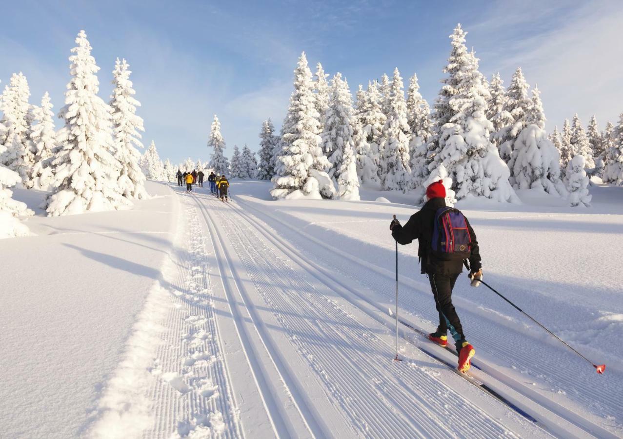 Jufa Eisenerzer Ramsau 3*